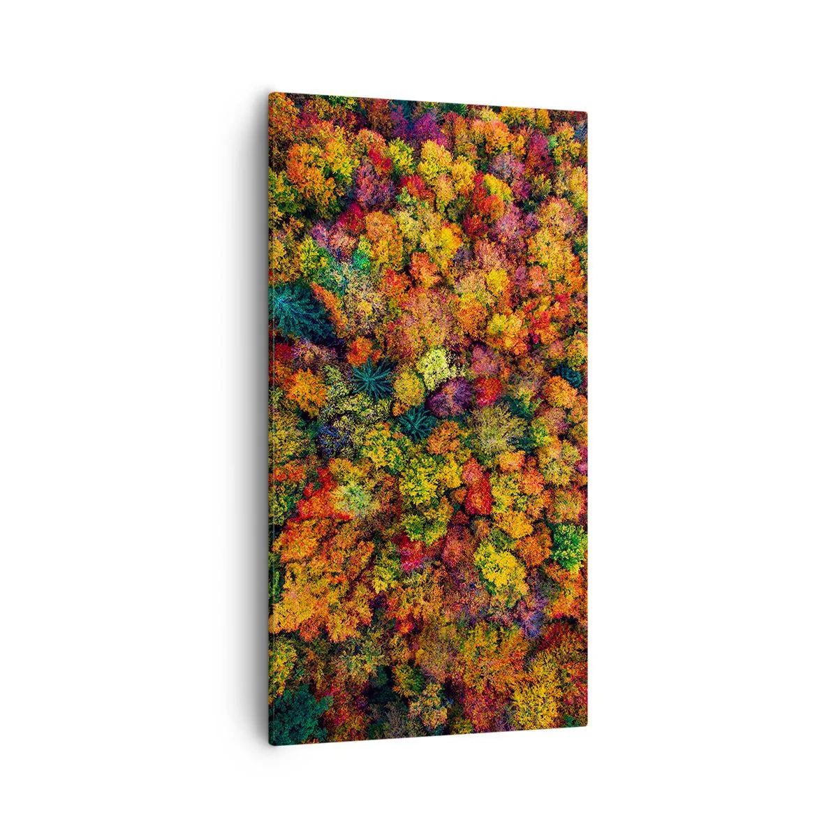 Obraz na plátně - Kytice podzimních stromů - 55x100 cm