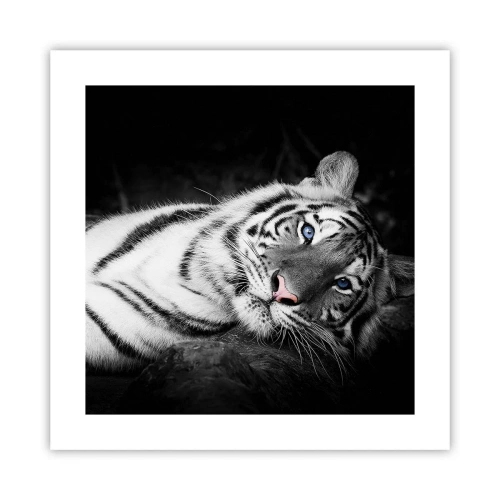 Plakát - Divočina a klid - 40x40 cm