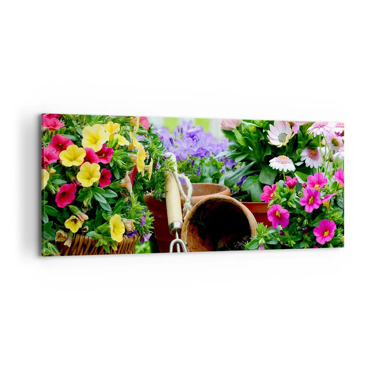 Obraz na plátně - Zahrádka Žofky - 120x50 cm