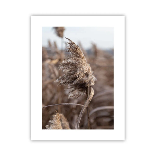 Plakát - Čas odletět s větrem - 30x40 cm