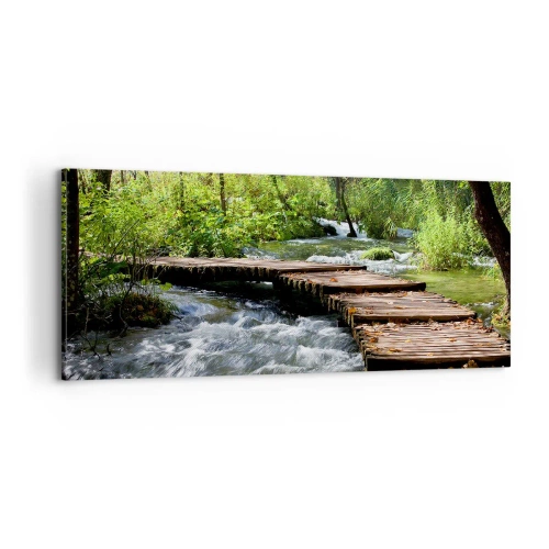 Obraz na plátně - U zpěněného vodopádu - 100x40 cm
