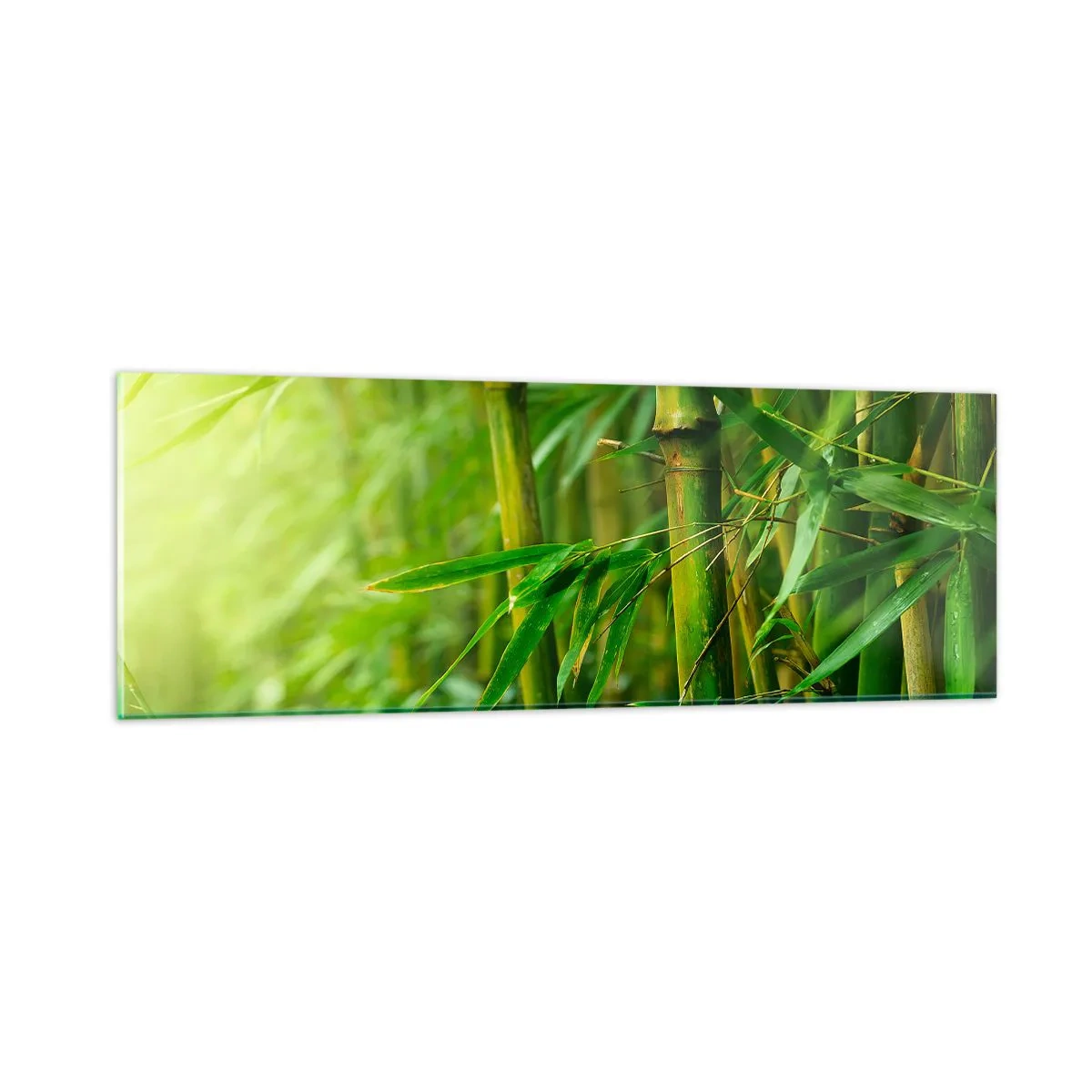 Obraz na skle - Poznat samotnou zeleň - 90x30 cm