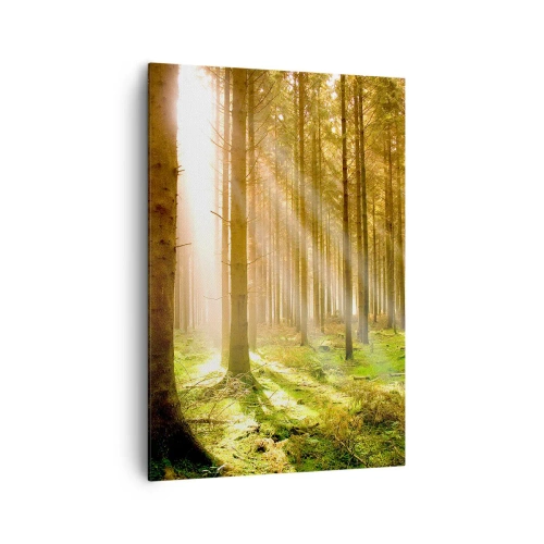 Obraz na plátně - Brzy se objeví elfové - 70x100 cm