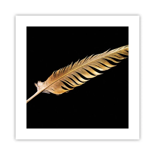 Plakát - Krásne peříčko… - 40x40 cm