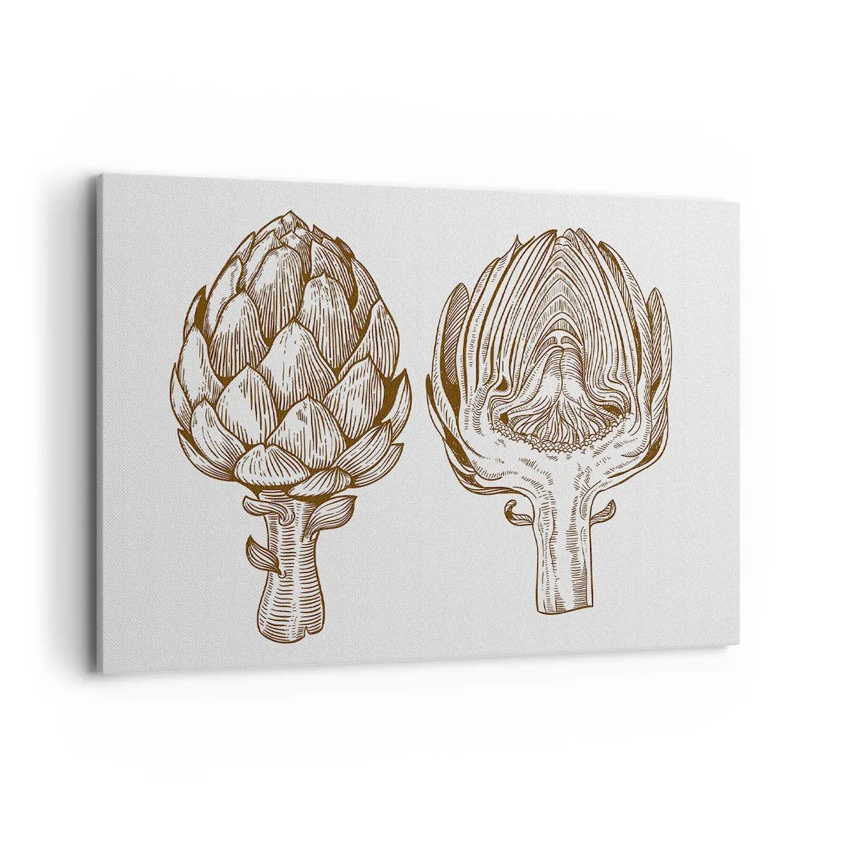 Obraz na plátně - Hodiny anatomie - 100x70 cm