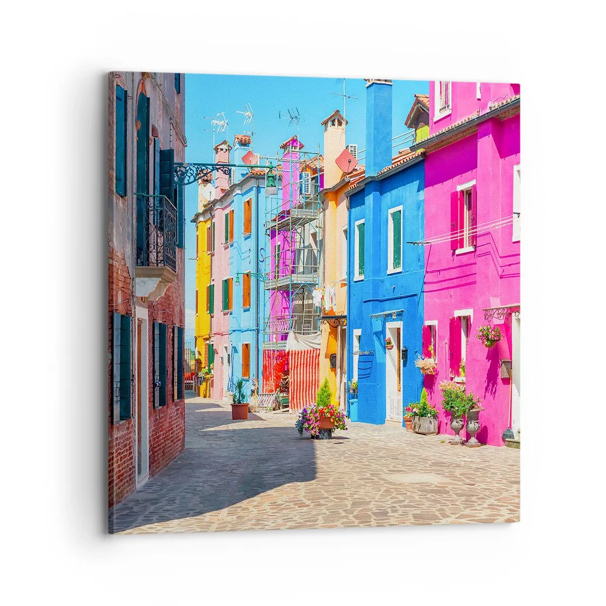 Obraz na plátně - Městečko „Pod papoušky“ - 70x70 cm