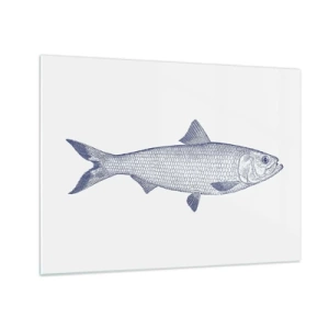 Obraz na skle - Skica ryby ve vintage stylu na světlém pozadí - 70x50cm - Pozdravy ze severních moří - Moderní nástěnná dekorace do obývacího pokoje a ložnice ARTTOR