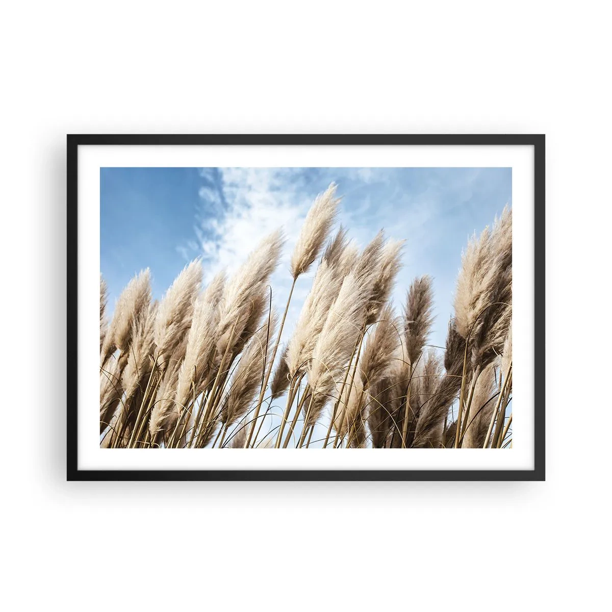 Plakát v černém rámu - Slunečné a větrné pohlazení - 70x50 cm
