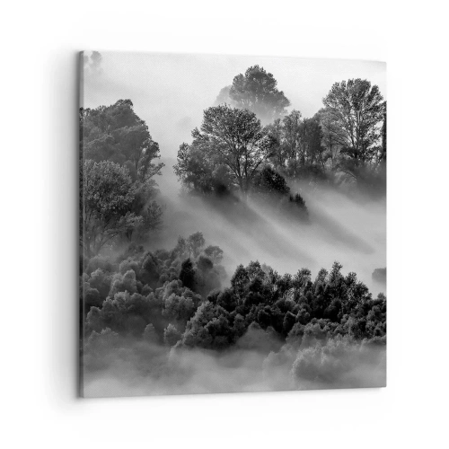 Obraz na plátně - Probouzení ze spánku - 50x50 cm