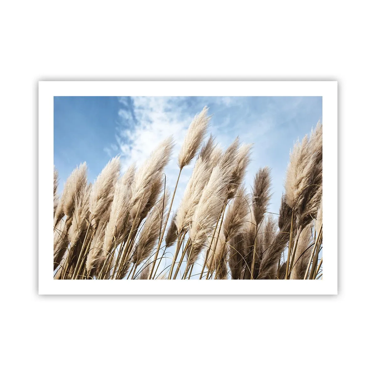 Plakát - Slunečné a větrné pohlazení - 70x50 cm