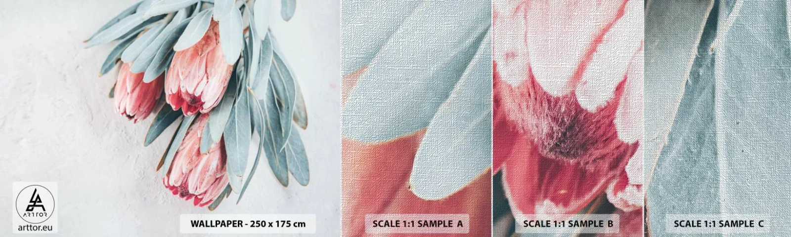 Vzor Fototapety Premium Canvas - Zahanbené svou vlastní krásou - Květ, Royal Protea, Afrika - 100x30 cm