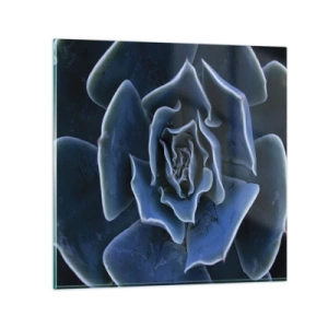 Obraz na skle - Pouštní květ - 60x60 cm
