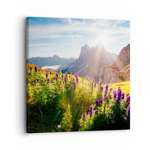 Obraz na plátně - Tajemný život bylin - 30x30 cm