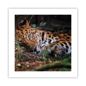 Plakát - Věř mi - 40x40 cm