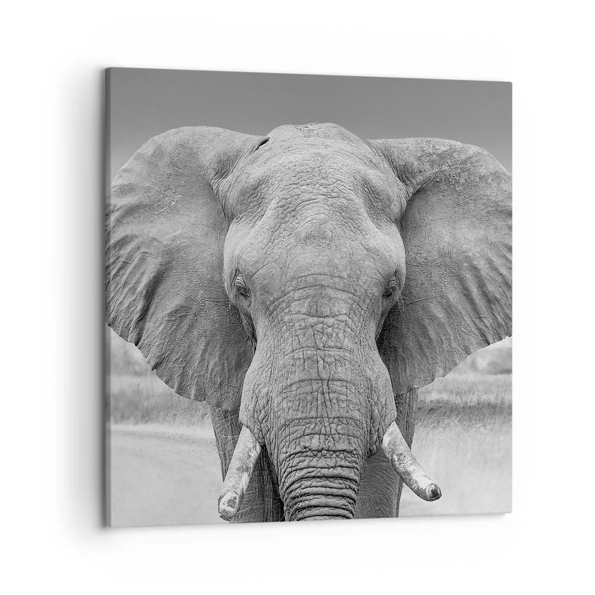 Obraz na plátně - Vítejte v mém světě - 50x50 cm