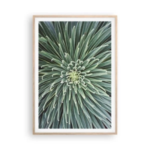 Plakát v rámu světlý dub - Zrození hvězdy - 70x100 cm