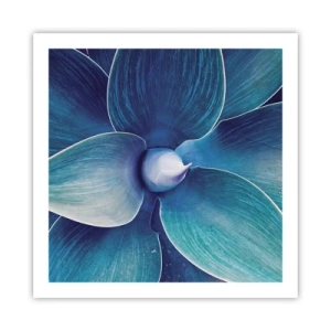 Plakát - Namodralý od nebe - 60x60 cm