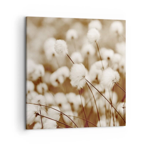 Obraz na plátně - Chlupatý lán - 60x60 cm