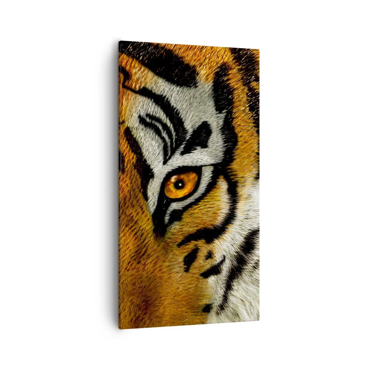 Obraz na plátně - Nebezpečný a krásný - 55x100 cm