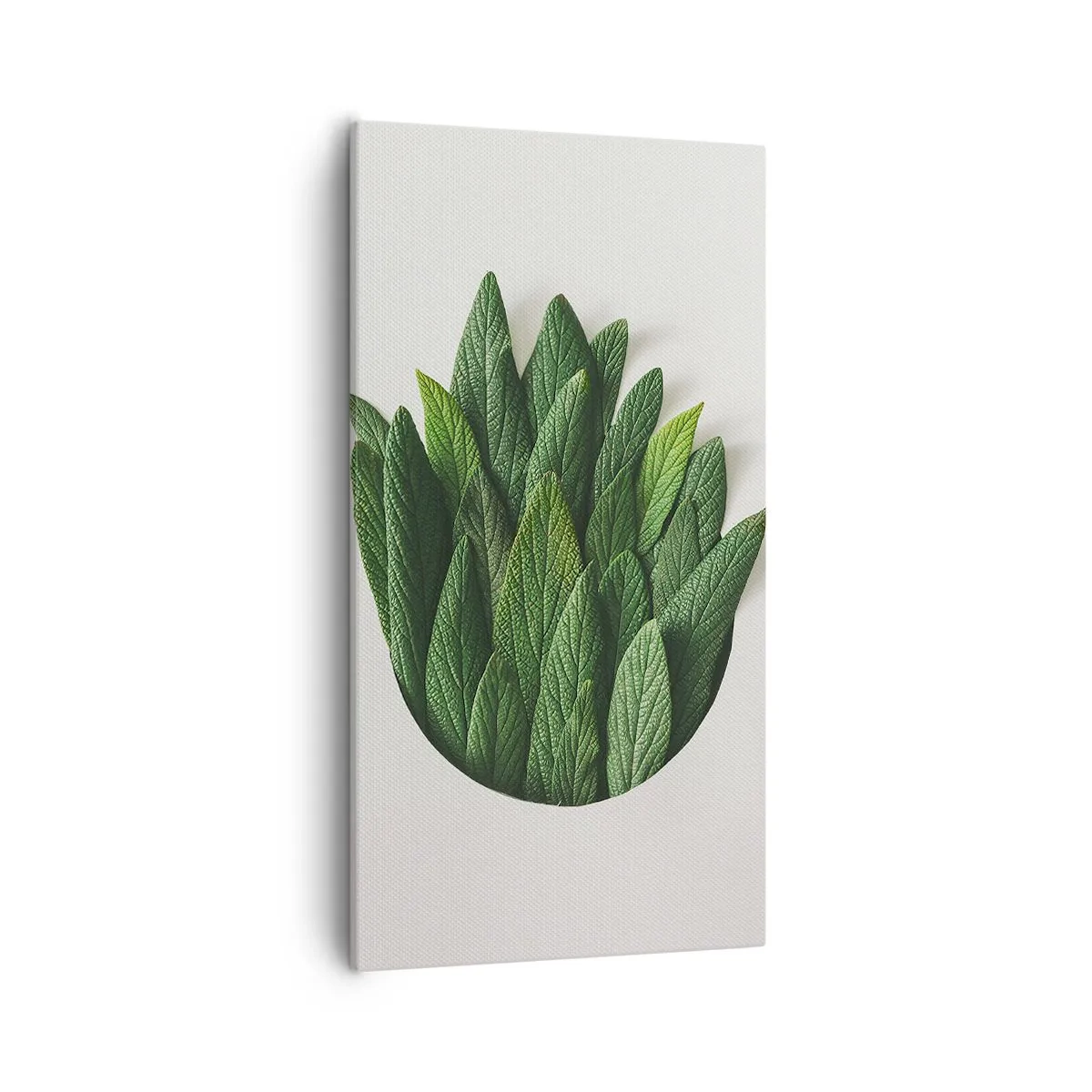 Obraz na plátně - Neukojitelná zvědavost - 55x100 cm