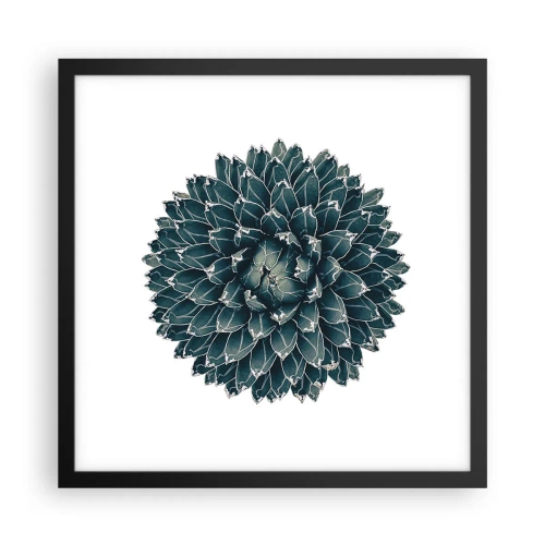 Plakát v černém rámu - Hvězda pouště - 40x40 cm