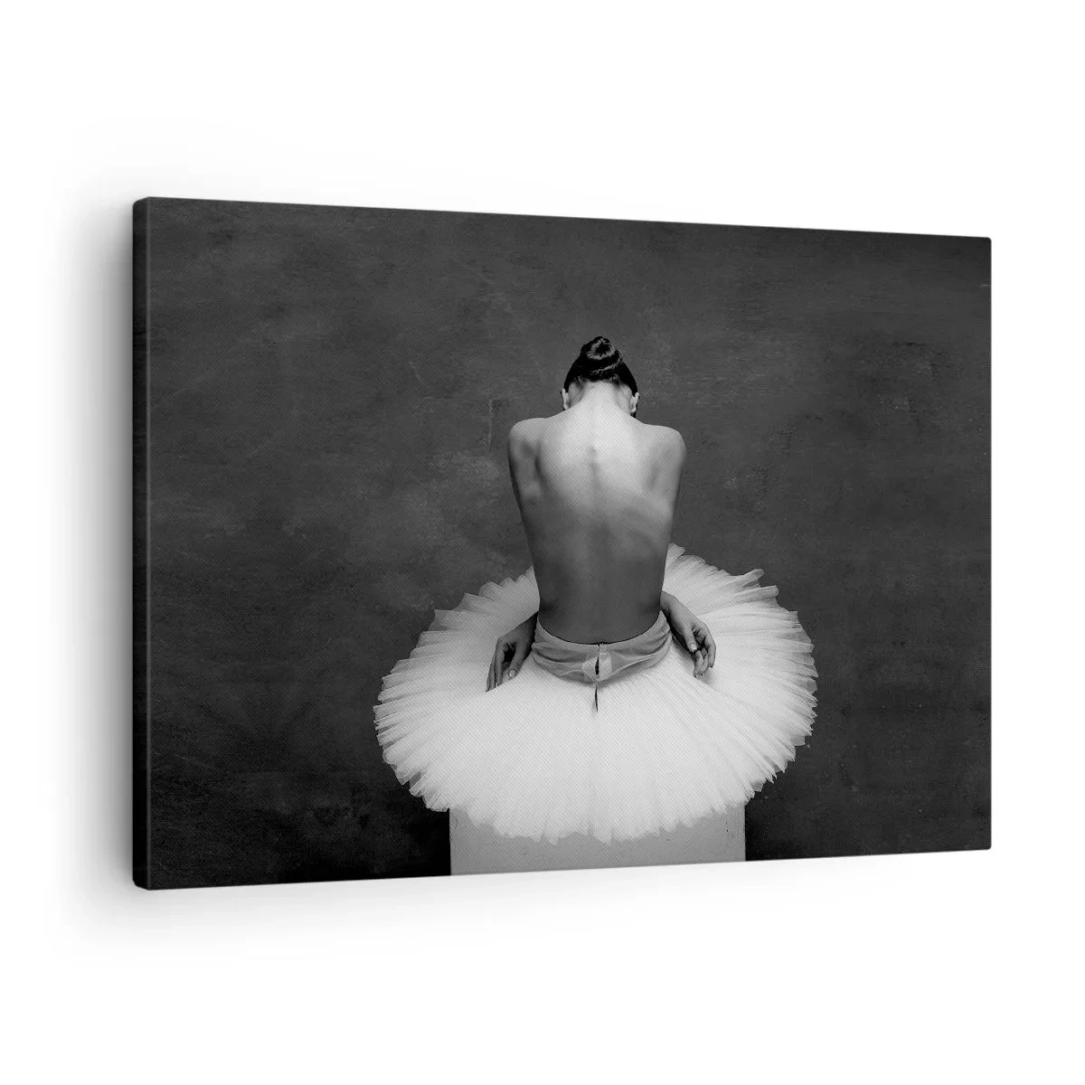 Obraz na plátně - Baletní tanečník v klasické póze na tmavém pozadí. - 70x50cm - Právě kvete - Moderní nástěnná dekorace do obývacího pokoje a ložnice ARTTOR