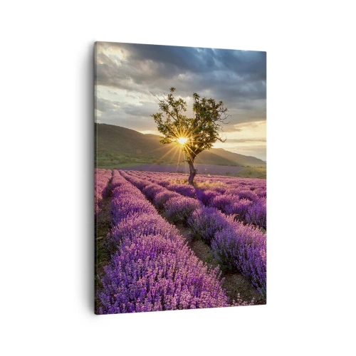 Obraz na plátně - Aroma v barvě lila - 50x70 cm