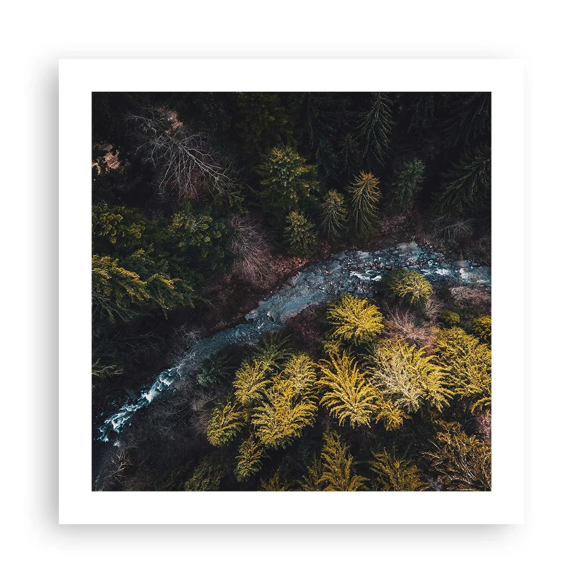 Plakát - Rychle, stále rychleji - 50x50 cm