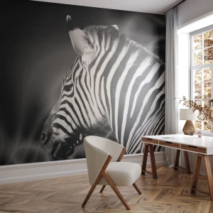 Fototapeta Samolepicí Deluxe Sticker - Bílé je bílé a černé je černé - Žebra, Černý a bílý, Zvířata - 100x70 cm