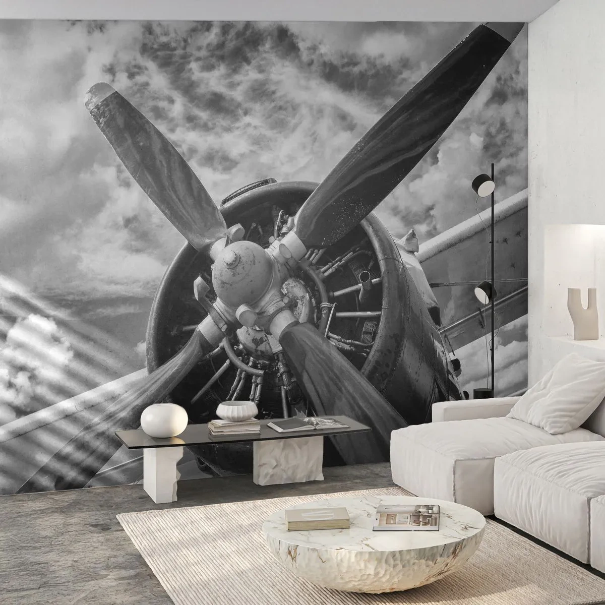 Fototapeta Samolepicí Deluxe Sticker - Dobyvatel oblohy - Letadlo, Vrtule letadla, Vinobraní - 250x175 cm