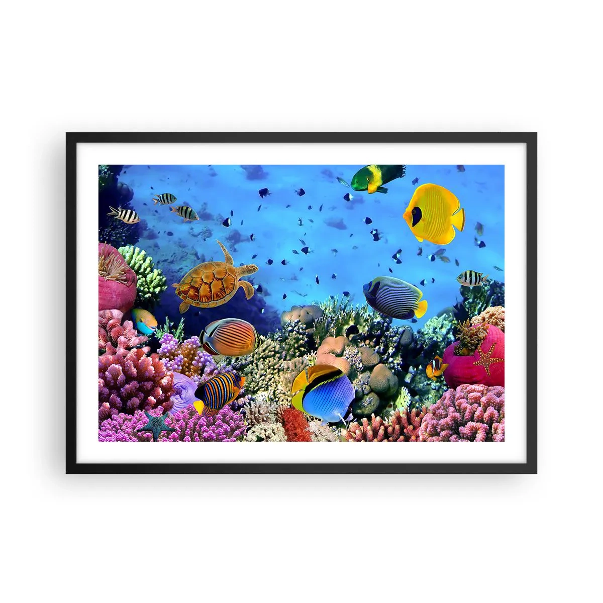 Plakát v černém rámu - Co víme o životě… - 70x50 cm