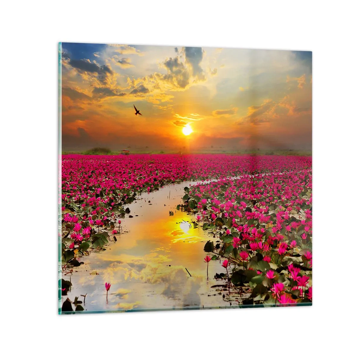 Obraz na skle - Tajemný život jezera - 60x60 cm