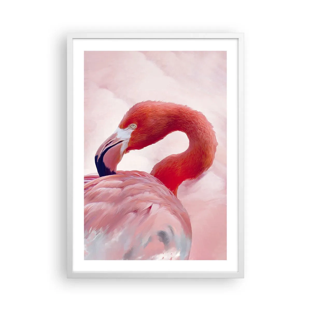 Plakát v bílém rámu - Ptačí krása - 50x70 cm