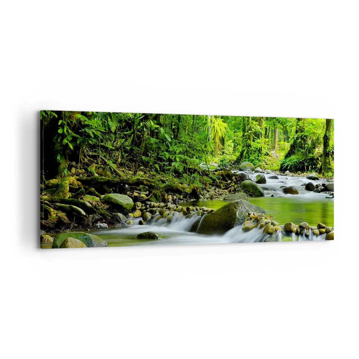 Obraz na plátně - Plout mořem zeleně - 120x50 cm