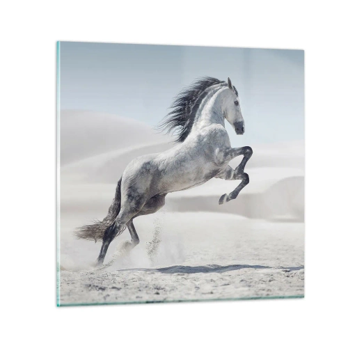 Obraz na skle - Arabský kníže - 70x70 cm