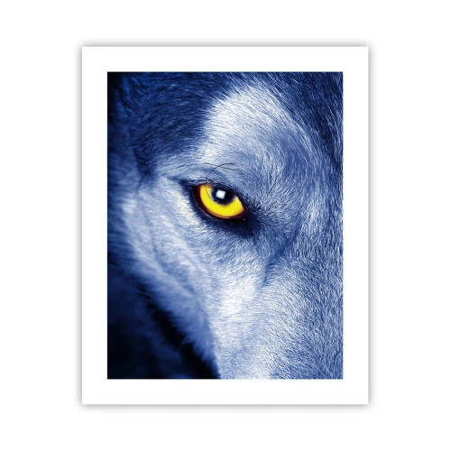 Plakát - Fascinující pohled - 40x50 cm