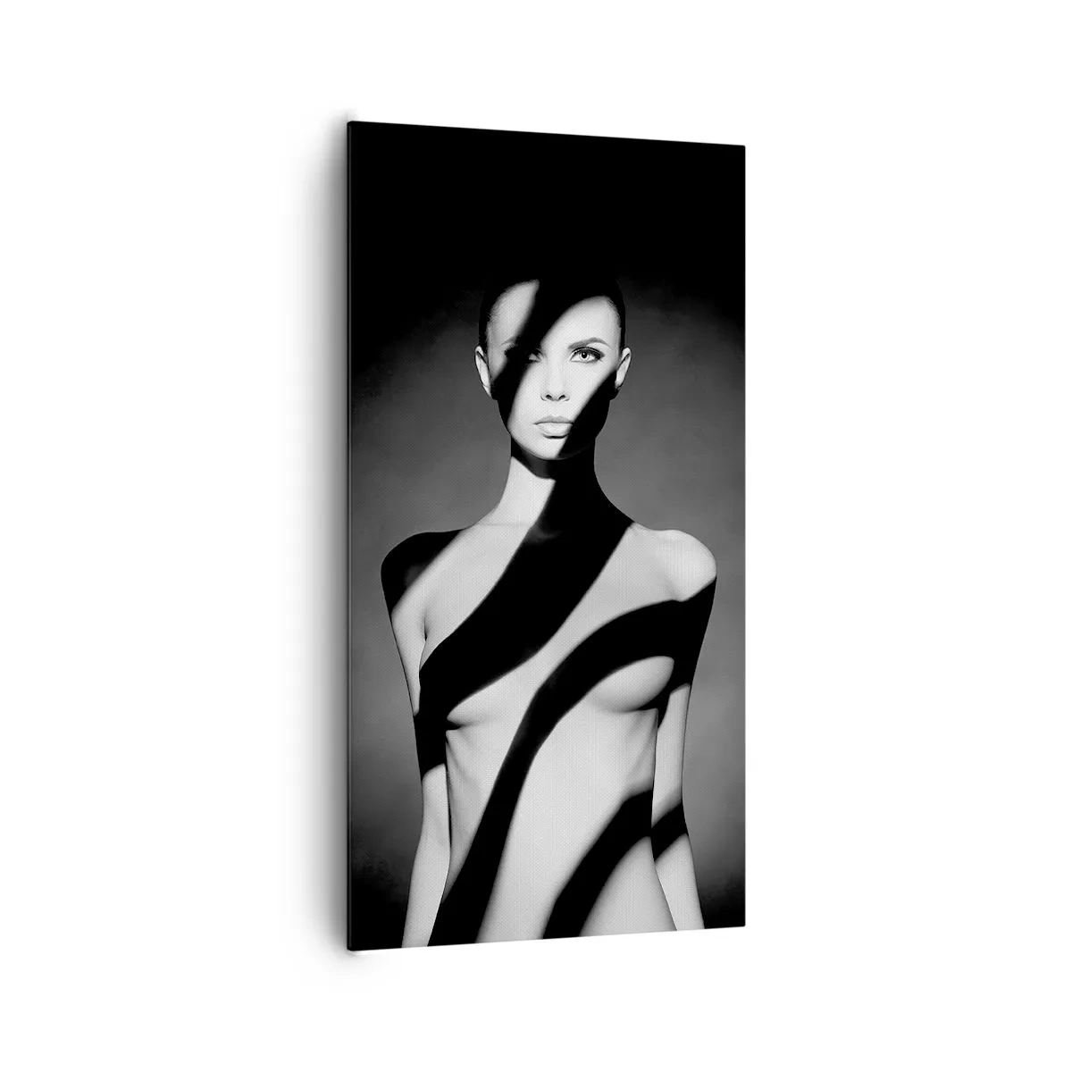 Obraz na plátně - V záři i ve stínu - 65x120 cm