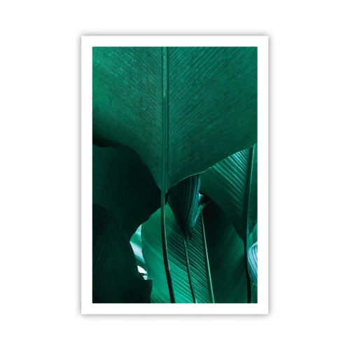 Plakát - Obrácené ke světlu - 61x91 cm