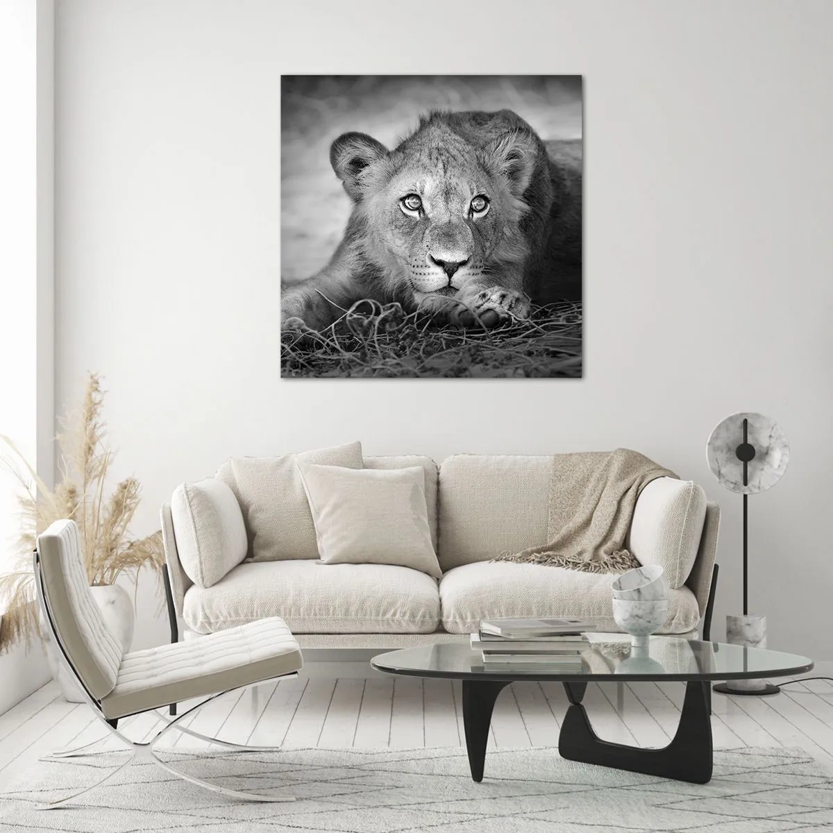 Obraz na skle - Královské štěně - 40x40 cm