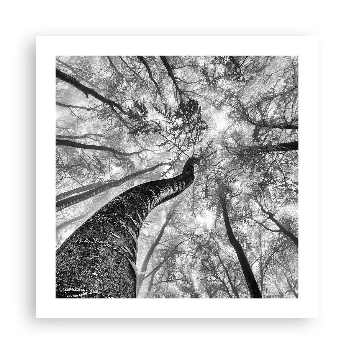 Plakát - Závod ke světlu - 50x50 cm