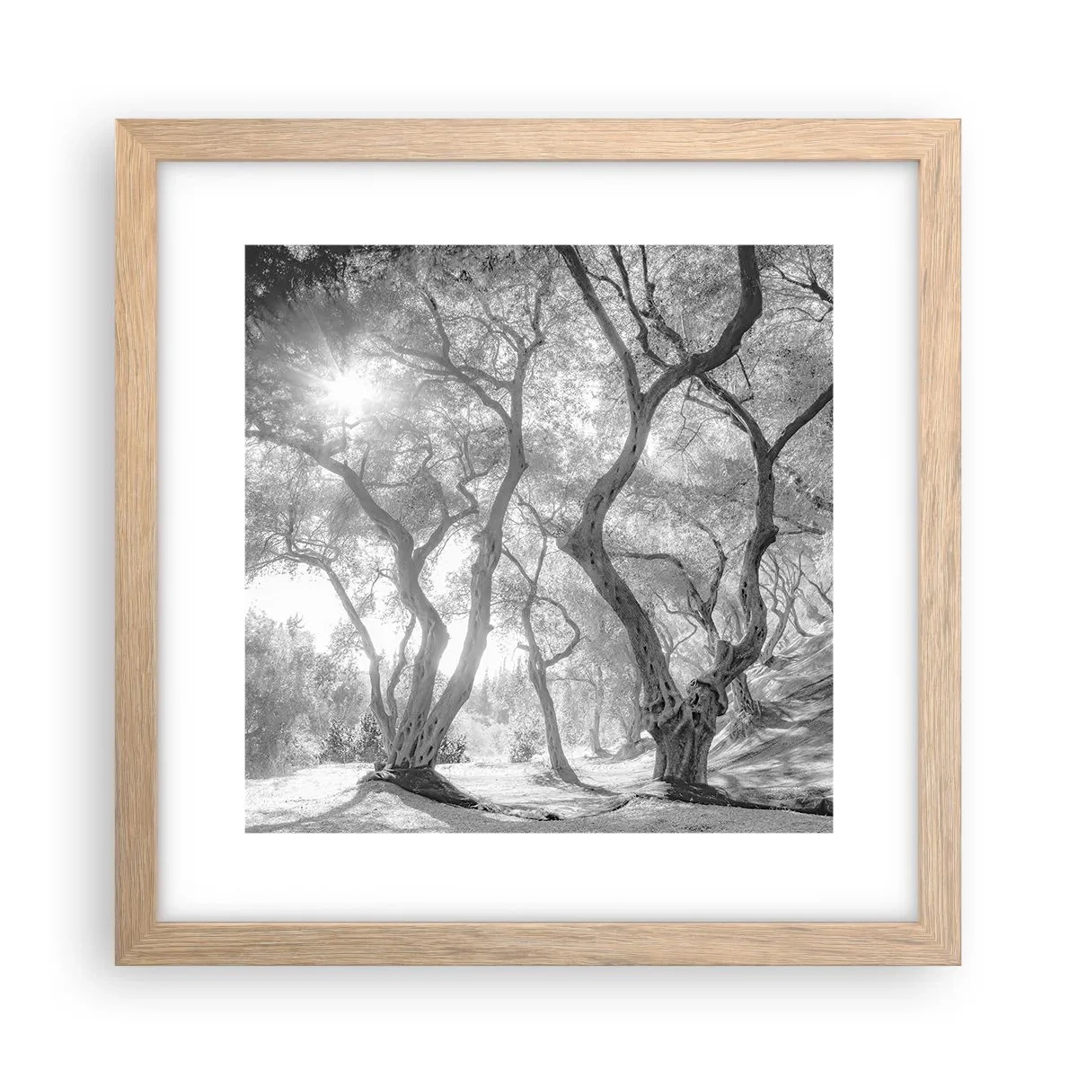 Plakát v rámu světlý dub - V olivovém háji - 30x30 cm