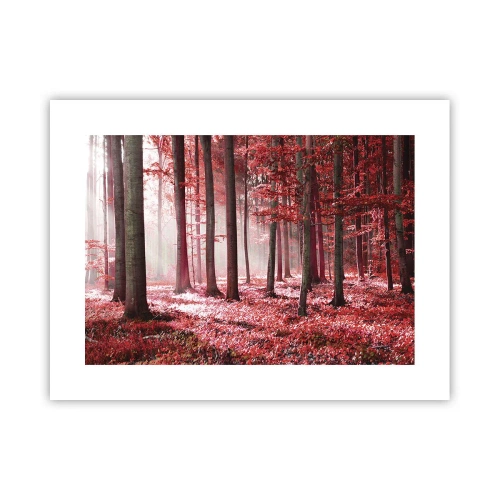 Plakát - Červená je stejně krásná - 40x30 cm