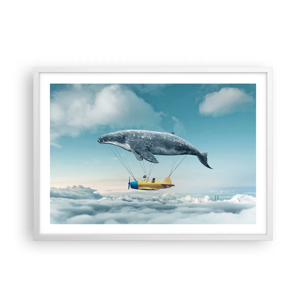 Plakát v bílém rámu - Proč ne? - 70x50 cm