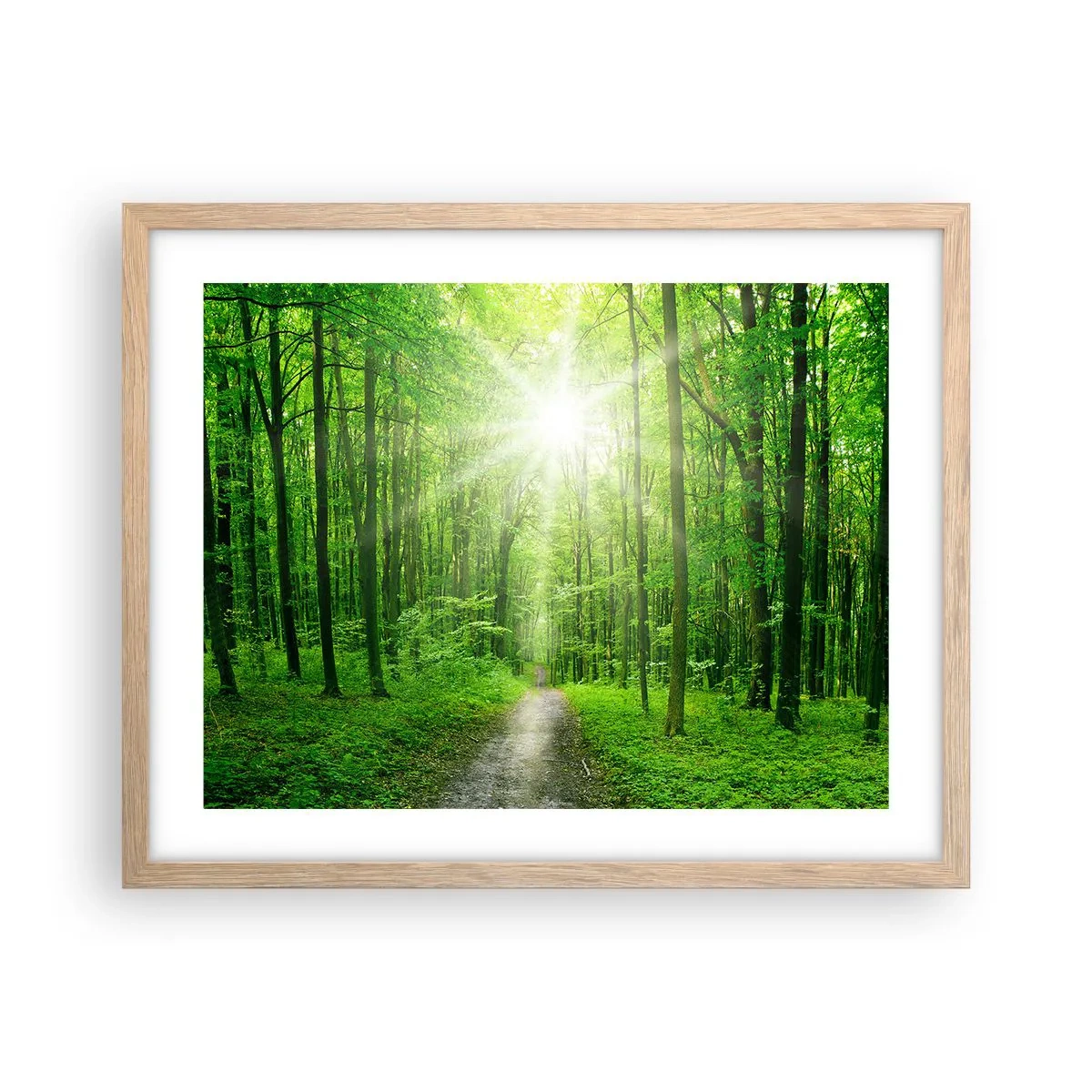 Plakát v rámu světlý dub - Zelená katedrála - 50x40 cm