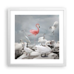 Plakát v bílém rámu - Kde jsem se tu vzal? - 40x40 cm