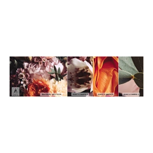 Vzor Fototapety Samolepicí Deluxe Sticker - Zabalené do krásy - Květiny, Kytice květin, Růže - 100x30 cm