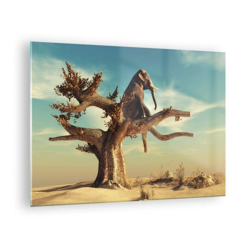 Obraz na skle - Slon sedící na stromě na pozadí pouště - 70x50cm - Nový úhel pohledu - Moderní nástěnná dekorace do obývacího pokoje a ložnice ARTTOR