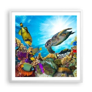 Plakát v bílém rámu - Korálová promenáda - 60x60 cm