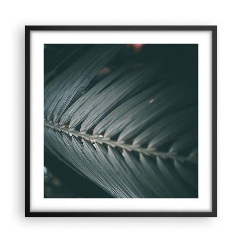 Plakát v černém rámu - Přesnost přírody - 50x50 cm