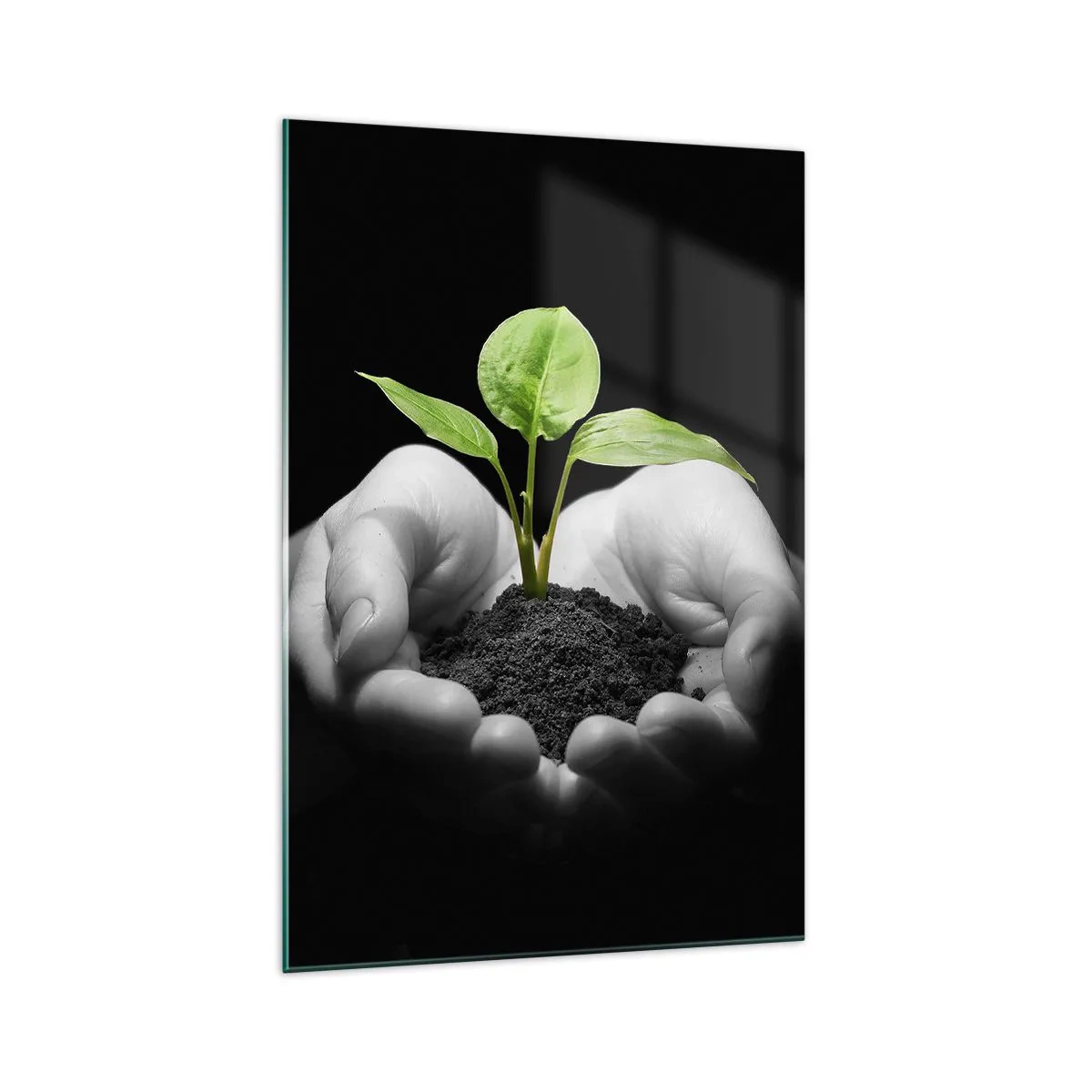 Obraz na skle - Miluji přírodu, chráním ji - 70x100 cm